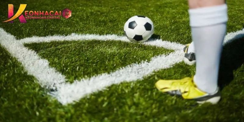 Những điều cần chú ý khi theo dõi kèo nhà cái 5